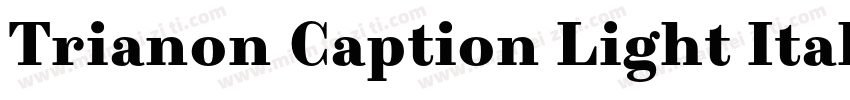 Trianon Caption Light Italic字体转换